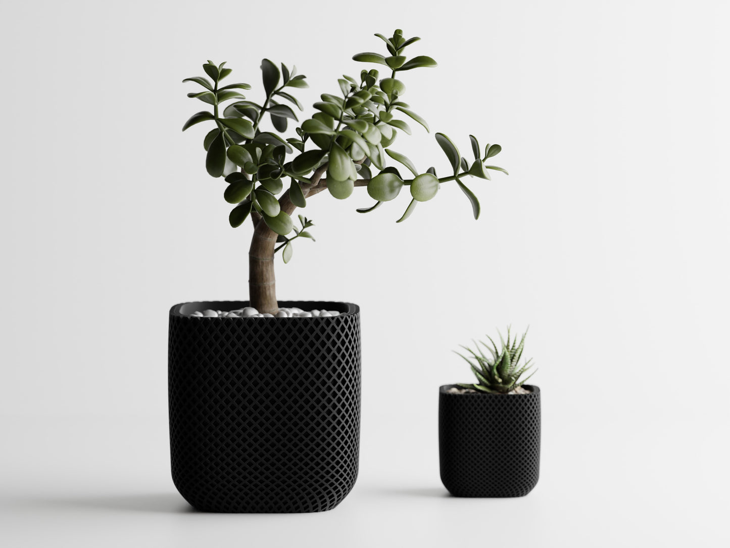 Plant Pot - Fine double ribbed rounded cube