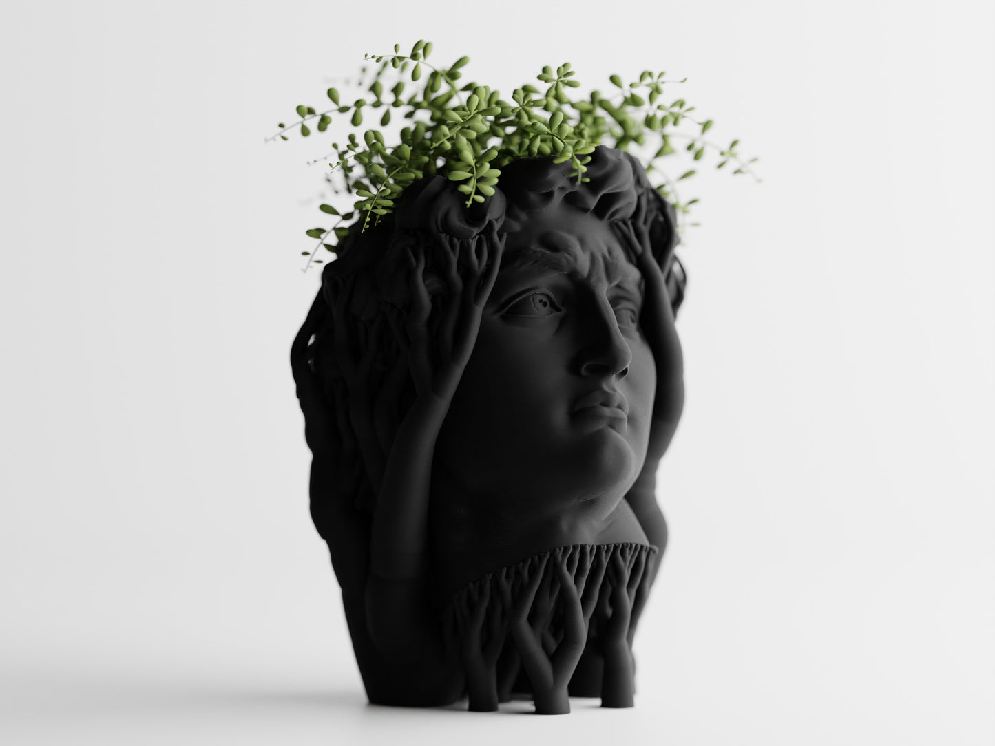 Organic David Planter