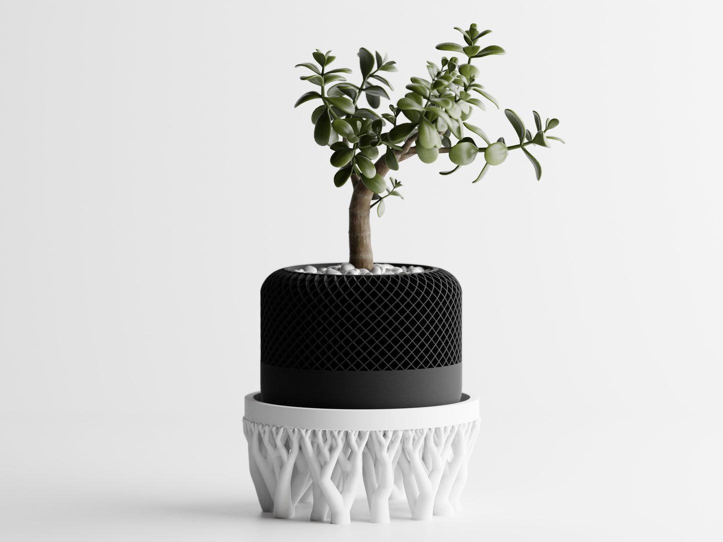 Organic plant pot stand