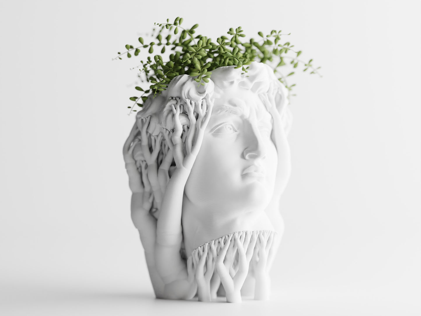 Organic David Planter