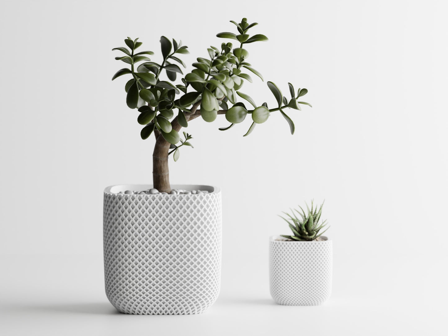 Plant Pot - Fine double ribbed rounded cube