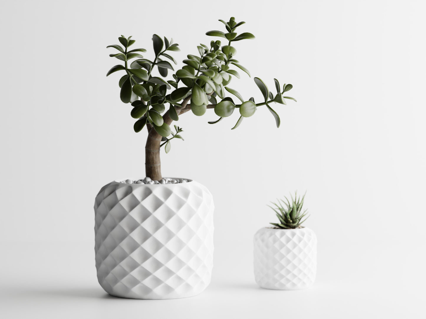 Plant Pot - Crystal Bloom