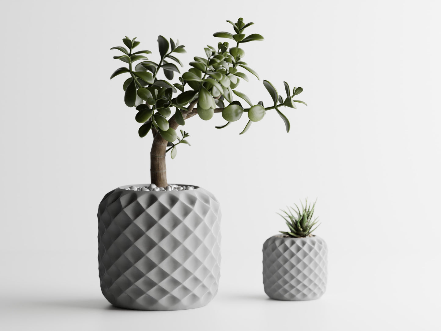 Plant Pot - Crystal Bloom
