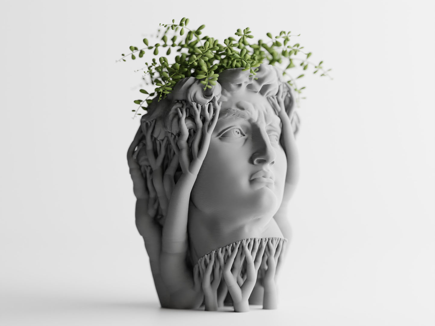 Organic David Planter