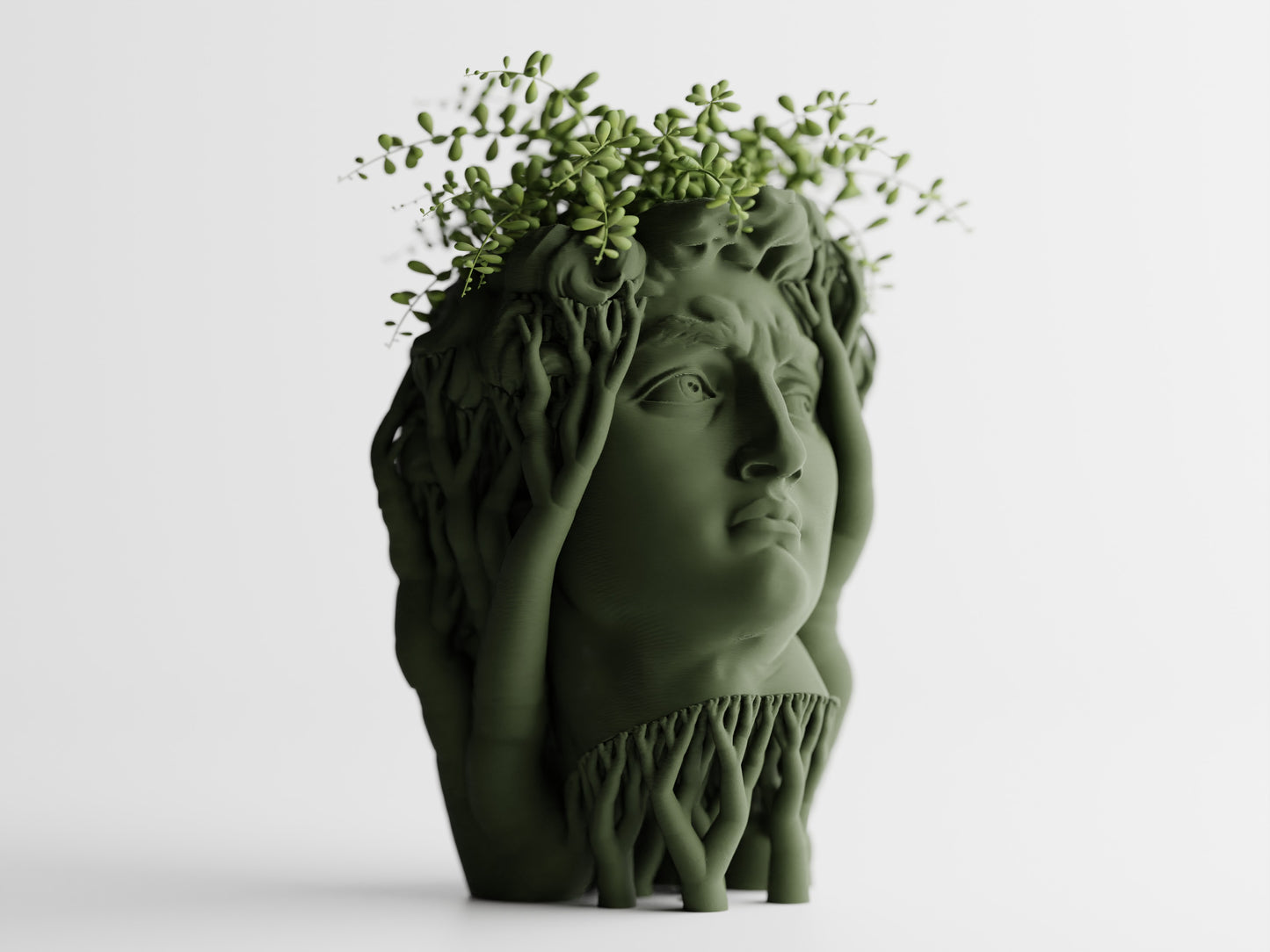 Organic David Planter