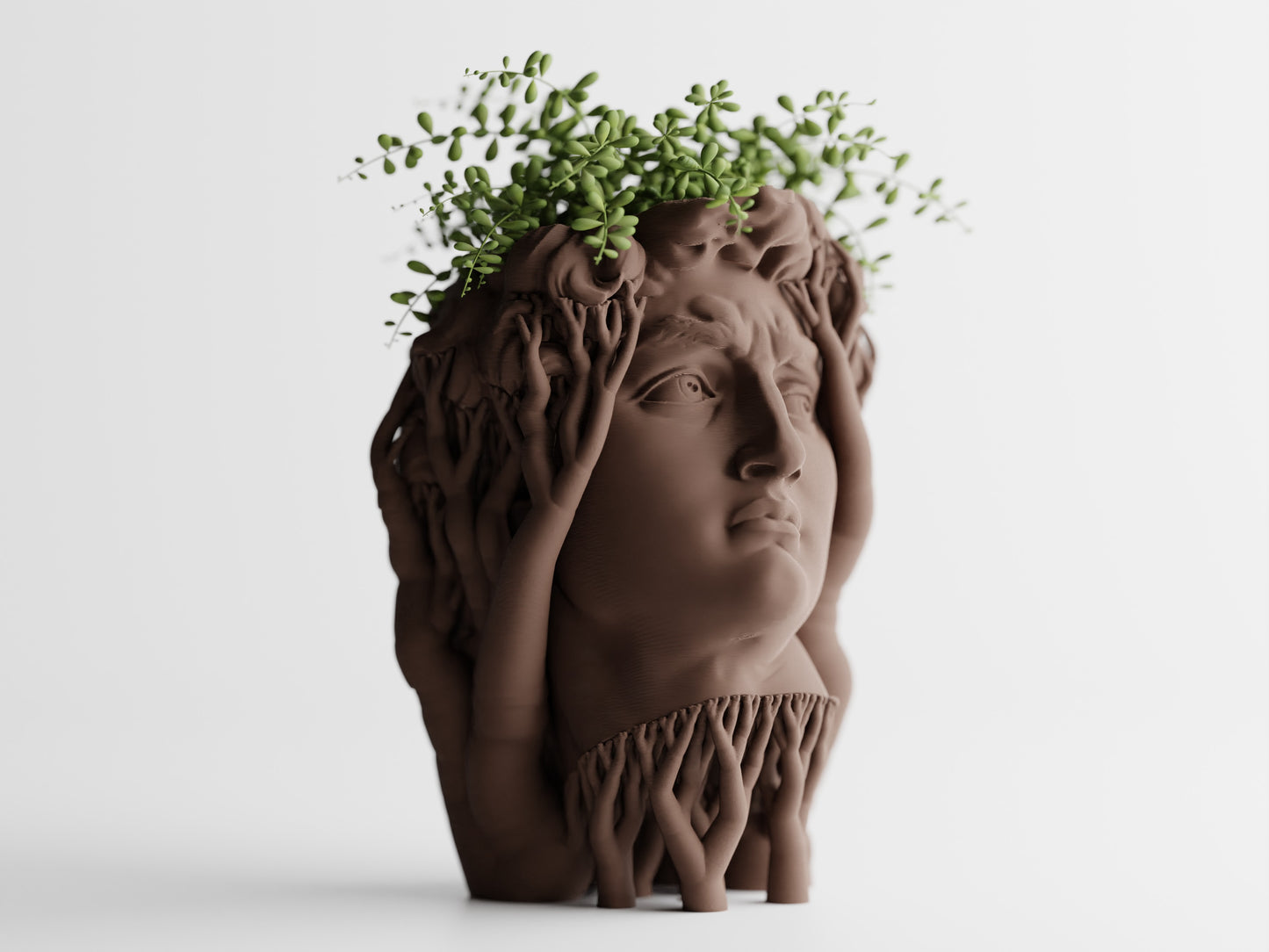 Organic David Planter