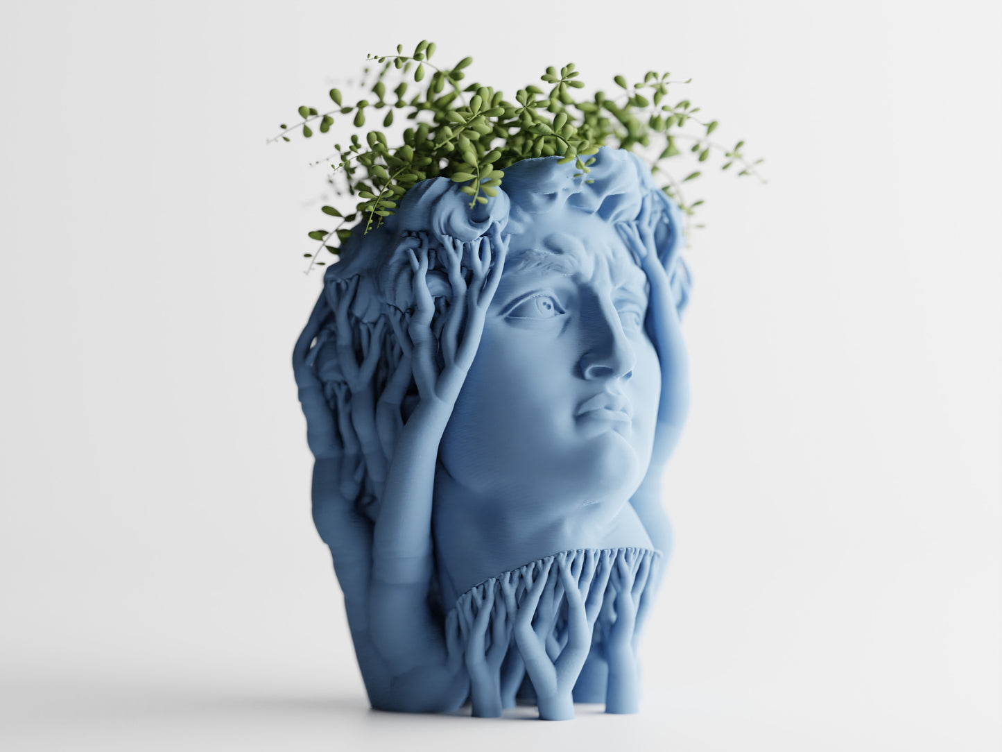 Organic David Planter