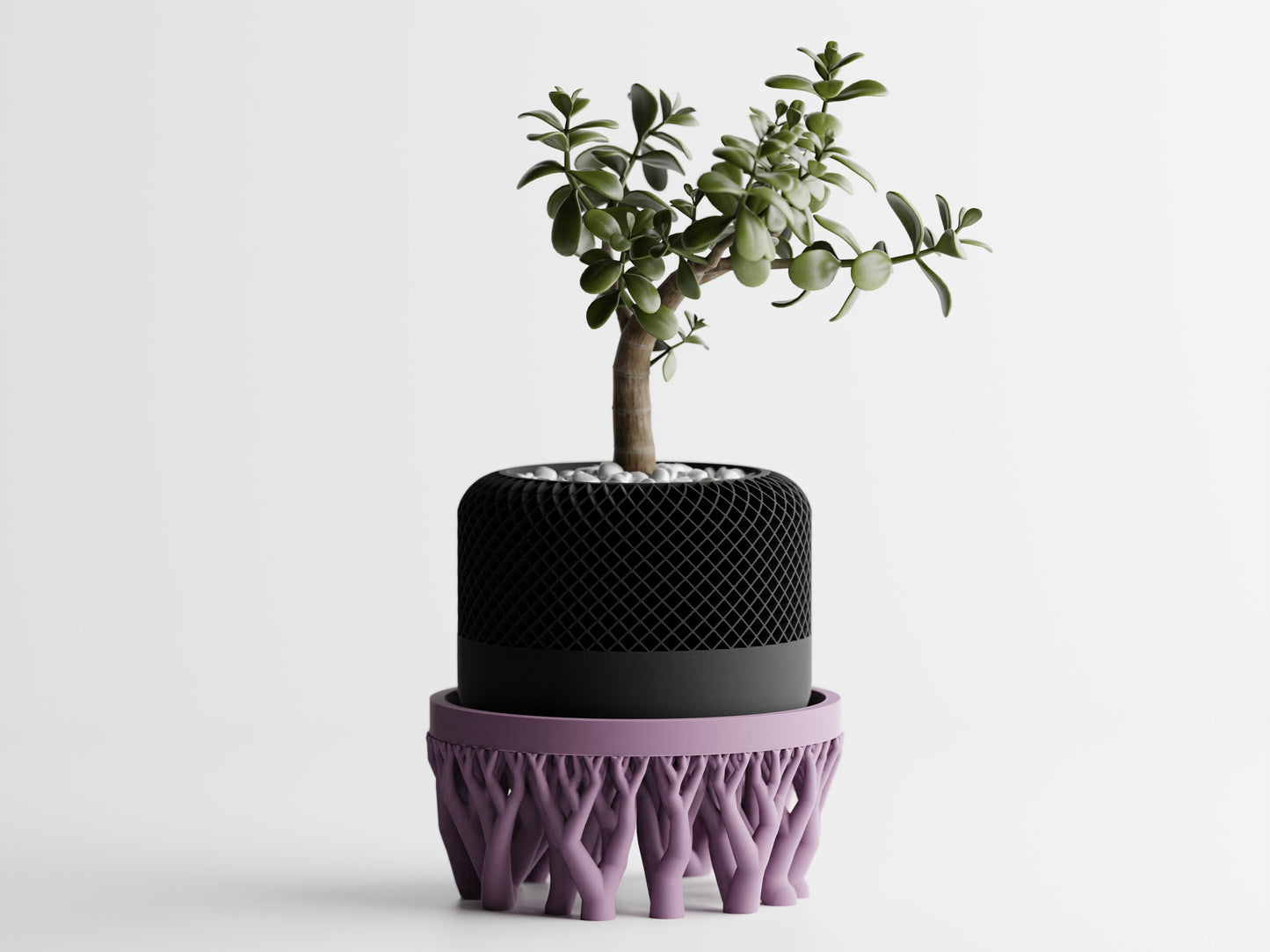 Organic plant pot stand