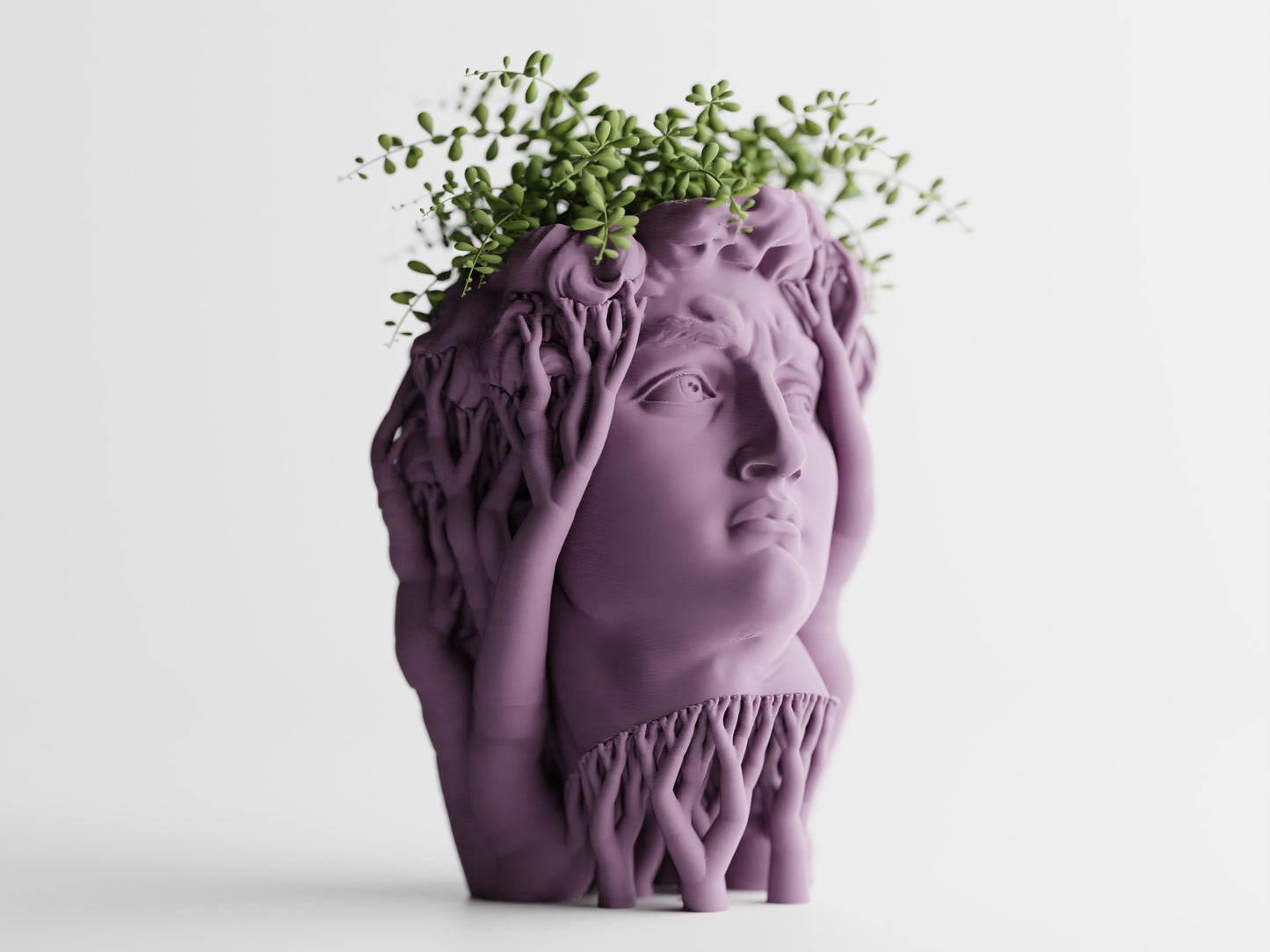 Organic David Planter