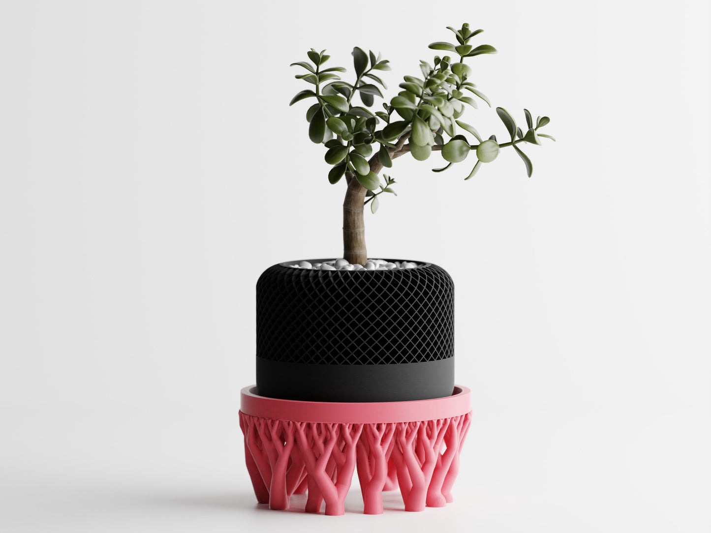 Organic plant pot stand