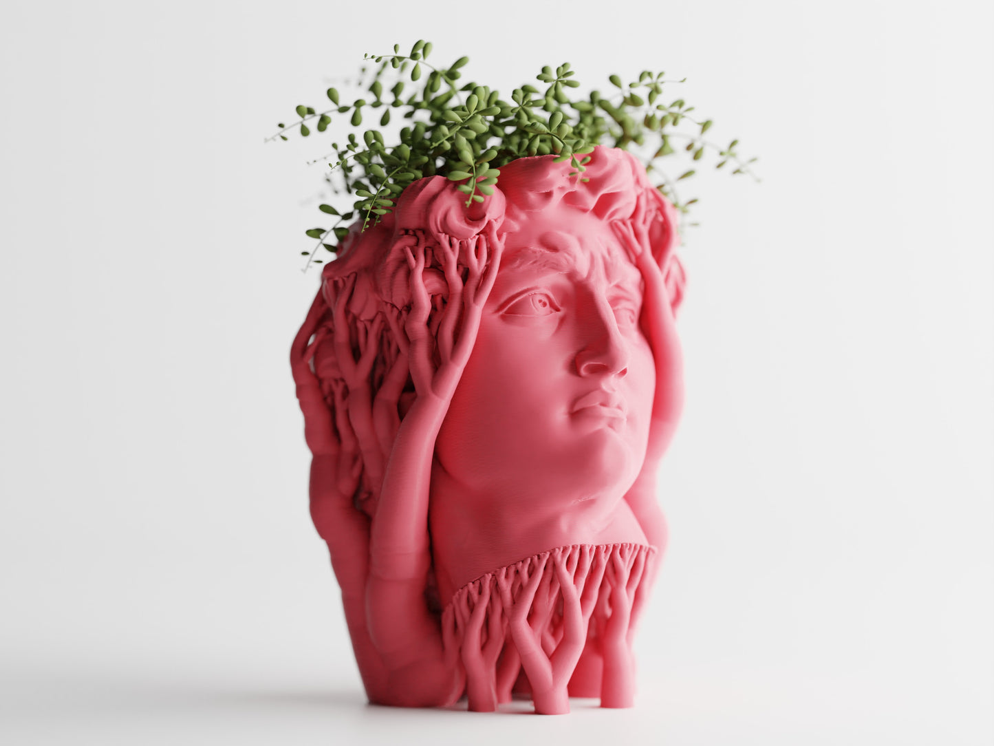 Organic David Planter