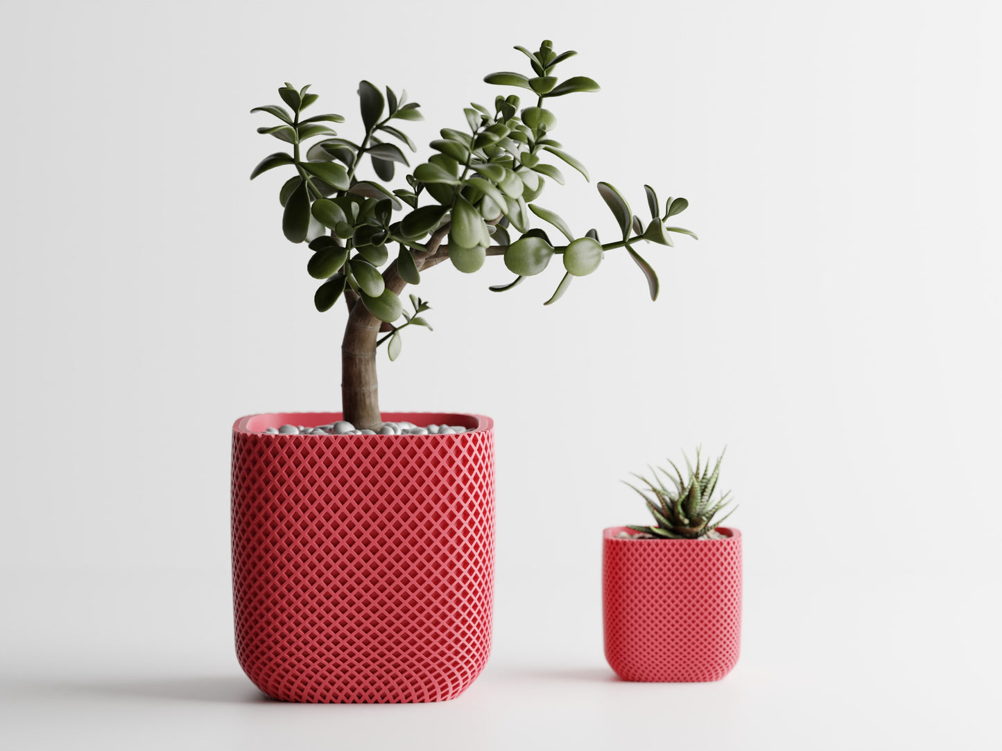 Plant Pot - Fine double ribbed rounded cube