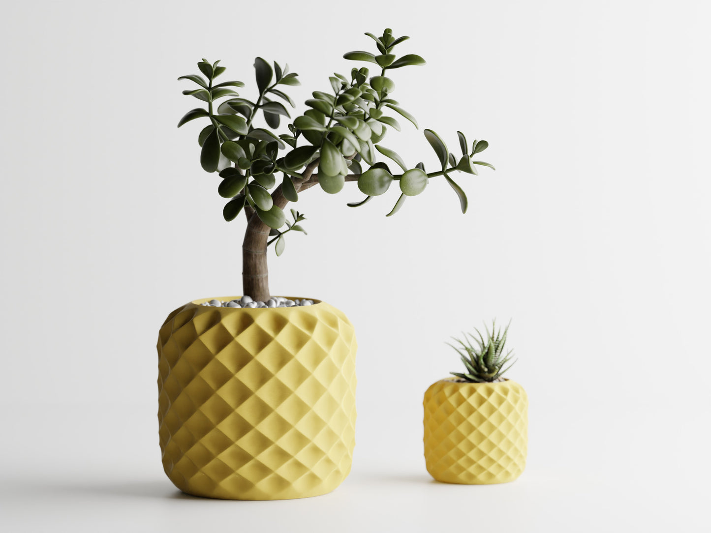 Plant Pot - Crystal Bloom