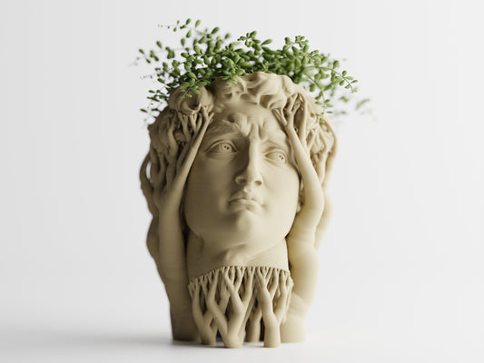 Organic David Planter