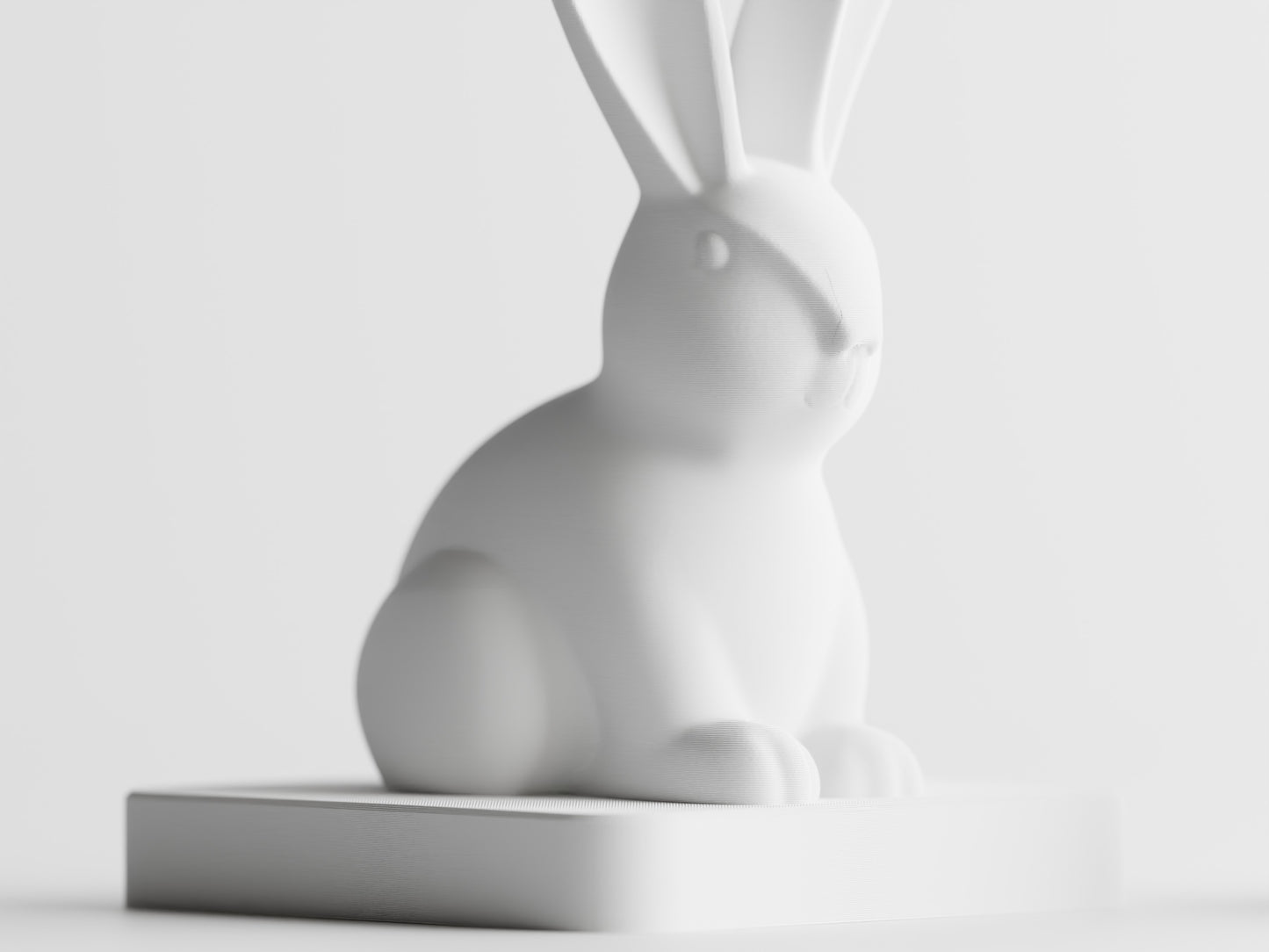 Bunny Hoppelis home decoration