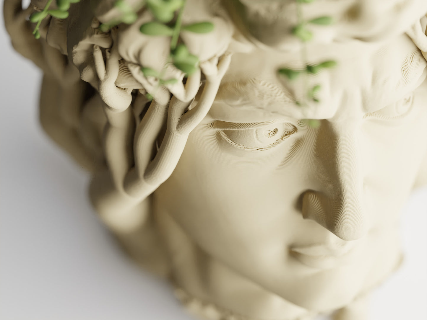 Organic David Planter