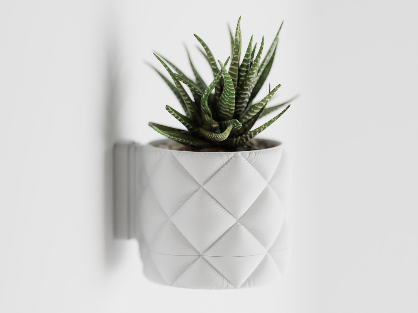 Inflated cloth plant pot with wall mount and drip tray