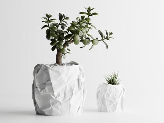 Crumbled paper pot