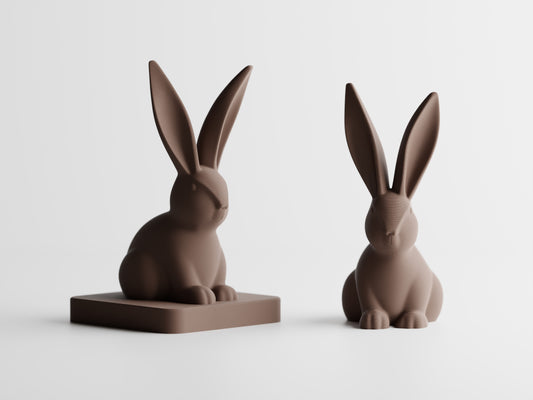 Bunny Hoppelis home decoration