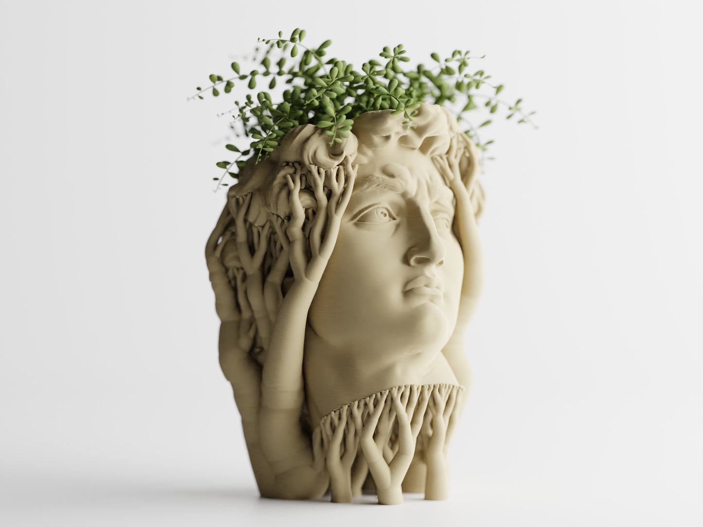Organic David Planter